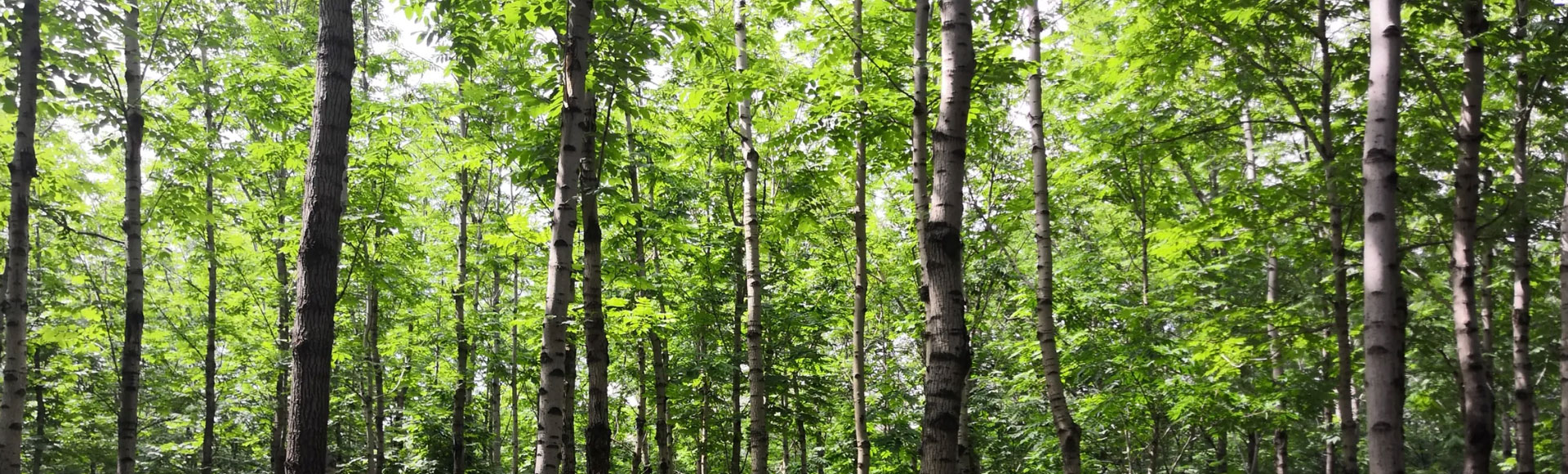 全國(guó)配送、株株精品